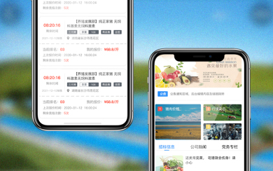 新五豐 生豬競價app開發(fā)